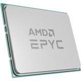 AMD EPYC™ 7313P, Prozessor Tray-Version