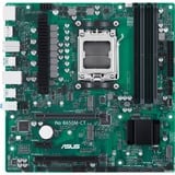 ASUS PRO B650M-CT-CSM, Mainboard grün