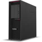 Lenovo ThinkStation P620 (30E00184GE), PC-System schwarz, Windows 11 Pro