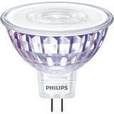 Philips Master LEDspot Value D 7.5-50W MR16 940 36D, LED-Lampe ersetzt 50 Watt