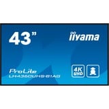 iiyama ProLite LH4360UHS-B1AG, Public Display schwarz (matt), UltraHD/4K, VA, Lautsprecher