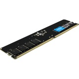 Crucial DIMM 32 GB DDR5-4800 (1x 32 GB) , Arbeitsspeicher schwarz, CT32G48C40U5