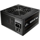 FSP HEXA 85+ PRO 550W, PC-Netzteil schwarz, 2x PCIe, 550 Watt