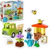 LEGO 10419 DUPLO Imkerei und Bienenstöcke, Konstruktionsspielzeug 