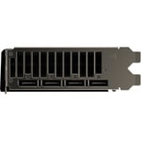 ASRock Intel® Arc Pro B60 Creator 24GB, Grafikkarte 