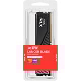 ADATA DIMM 16 GB DDR5-6000 (1x 16 GB), Arbeitsspeicher schwarz, AX5U6000C4816G-SLABBK, XPG Lancer Blade, INTEL XMP, AMD EXPO