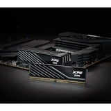 ADATA DIMM 16 GB DDR5-6000 (1x 16 GB), Arbeitsspeicher schwarz, AX5U6000C4816G-SLABBK, XPG Lancer Blade, INTEL XMP, AMD EXPO