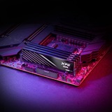 ADATA DIMM 16 GB DDR5-6000 (1x 16 GB), Arbeitsspeicher schwarz, AX5U6000C4816G-SLABBK, XPG Lancer Blade, INTEL XMP, AMD EXPO