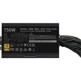 Cooler Master MWE 750 V3 Black, PC-Netzteil schwarz, 1x 12-Pin High Power GPU, 4x PCIe, 750 Watt