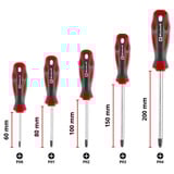 EINHELL Schraubendreher-Set PH, 5-teilig schwarz/grau, Ergonomische Zweikomponentengriffe