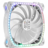 Enermax SquA RGB White 3 Pack 120x120, Gehäuselüfter weiß, inkl. RGB-Steuerbox, 120 mm