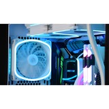Enermax SquA RGB White 3 Pack 120x120, Gehäuselüfter weiß, inkl. RGB-Steuerbox, 120 mm