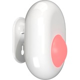 Shelly Motion weiß