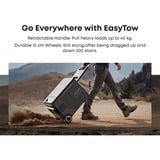 Anker SOLIX EverFrost 2 40L, Kühlbox grau/schwarz