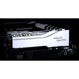 G.Skill DIMM 32 GB DDR5-6000 (2x 16 GB) Dual-Kit	, Arbeitsspeicher silber, F5-6000J2836G16GX2-TR5NS, Trident Z5 Royal Neo, AMD EXPO