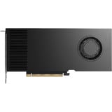 NVIDIA RTX PRO 4000 Blackwell, Grafikkarte 4x Mini-DisplayPort, Retail
