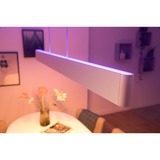 Philips Hue White & Color Ambiance Ensis Pendelleuchte, LED-Leuchte weiß