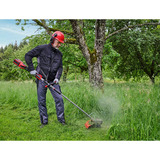 EINHELL Professional Akku-Sense GP-BC 36/430 Li P BL-Solo, 36Volt (2x18V), Motorsense rot/schwarz, ohne Akku und Ladegerät