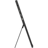 ASUS ZenScreen MB16FC, LED-Monitor 40 cm (16 Zoll), schwarz, WUXGA, IPS, Mini-HDMI, USB-C