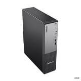 Lenovo ThinkCentre neo 55s Gen 6 (13G00009GE), PC-System schwarz, Windows 11 Pro