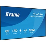 iiyama LH6575UHS-B2AG, Public Display schwarz (matt), UltraHD/4K, IPS, Lautsprecher, Daisy Chain
