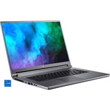 Acer Predator Triton 500 SE (PT516-52s-70KX), Gaming-Notebook grau, Windows 11 Home 64-Bit, 240 Hz Display, 1 TB SSD