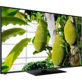 Panasonic TX-65JXW604, LED-Fernseher 164 cm(65 Zoll), schwarz, UltraHD/4K, HDR, Dolby Atmos