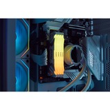 Kingston FURY DIMM 32 GB DDR5-6000  , Arbeitsspeicher weiß, KF560C32RWA-32, Renegade RGB, INTEL XMP