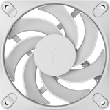 Fractal Design Dynamic 3 120, Gehäuselüfter weiß, Reverse White, 120 mm