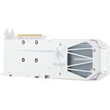 PowerColor Radeon RX 9060 XT Hellhound Spectral White 16G, Grafikkarte 