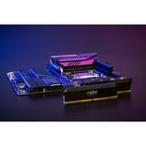 Crucial DIMM 64 GB DDR5-6400 (2x 32 GB) Dual-Kit, Arbeitsspeicher schwarz, CP2K32G64C40U5B, PRO OC, INTEL XMP, AMD EXPO