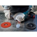 Bosch Professional X-LOCK Expert R782 Prisma Ceramic Fiberschleifscheibe, Ø 115mm, K36 5 Stück, Bohrung 22,23mm