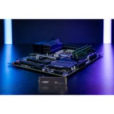 Crucial P310 500 GB, SSD schwarz, PCIe 4.0 x4, NVMe, M.2 2280