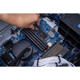 Crucial P310 500 GB, SSD schwarz, PCIe 4.0 x4, NVMe, M.2 2280
