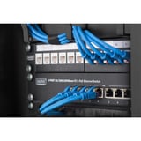 Digitus 10" Rangierpanel für Netzwerk- und Serverschränke, Kabelführung schwarz, 3 Ringe, 1HE