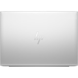 HP EliteBook 865 G11 (9G0K9ET), Notebook silber, AMD Ryzen 5 8540U, AMD Radeon 740M, 16 GB DDR5, 512 GB (512 GB SSD), Windows 11 Pro 64-Bit
