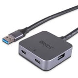 Lindy 4 Port USB 3.0 Hub, USB-Hub grau/schwarz, 5m