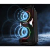 Medion Life PE-1 Pure Partylautsprecher schwarz, Bluetooth, UKW Radio, Lichteffekte, Karaoke