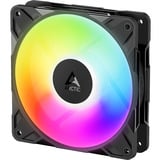 ARCTIC P12 Pro Reverse A-RGB, Gehäuselüfter schwarz, Reverse , 120 mm