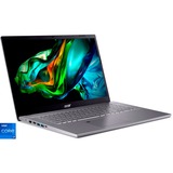 Acer Aspire 5 (A517-53-73HF), Notebook silber, Windows 11 Pro 64-Bit, 1 TB SSD