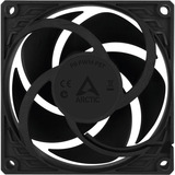 ARCTIC P8 PWM PST, Gehäuselüfter schwarz, 5er Pack, 80 mm