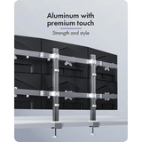 ICY BOX Damond Stand 666, Monitorhalterung silber