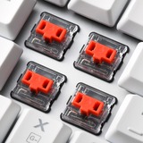 Sharkoon PureWriter TKL RGB, Gaming-Tastatur weiß, DE-Layout, Kailh Choc Low Profile Red