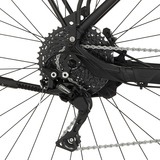 FISCHER Fahrrad Terra 8.0i, Pedelec schwarz (matt), 29", 55 cm Rahmen