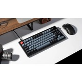 Keychron V1 Knob, Gaming-Tastatur schwarz/blaugrau, DE-Layout, Keychron K Pro Brown, Hot-Swap, RGB, PBT