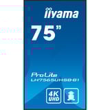 iiyama ProLite LH7565UHSB-B1, Public Display schwarz, UltraHD/4K, IPS, WiFi, Fernbedienung