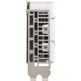 ASUS GeForce RTX 5060 DUAL OC WHITE 8GB, Grafikkarte DLSS 4, 3x DisplayPort, 1x HDMI 2.1