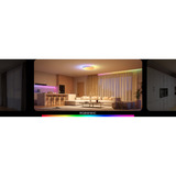 Govee 38cm Intelligente RGBICWW Deckenleuchte Pro, LED-Leuchte 