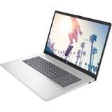 HP 17-cp0273ng, Notebook silber, ohne Betriebssystem, 43.9 cm (17.3 Zoll), 1 TB SSD