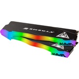 Patriot DIMM 48 GB DDR5-8000 (2x 24 GB) Dual-Kit, Arbeitsspeicher schwarz, PVXR548G80C38K, Viper Xtreme 5 RGB, INTEL XMP